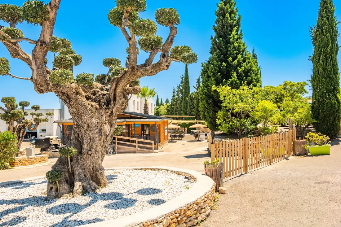 Camping Orangeraie