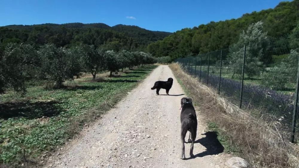 Flower Camping Domaine Villa Verde Útvonalterv