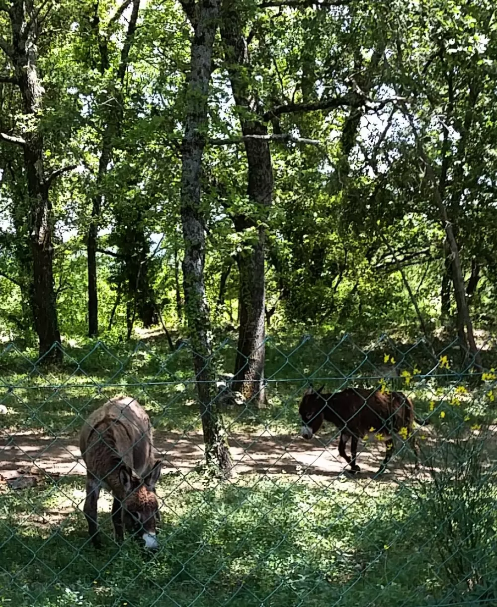 Flower Camping Domaine Villa Verde Útvonalterv