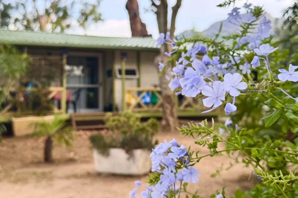 Villaggio turistico ULVF - U Libeccu