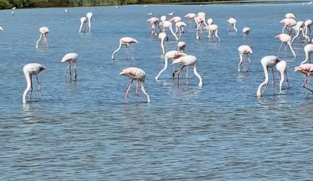 Camping Les Lodges du Lagon