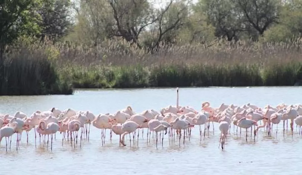 Camping Les Lodges du Lagon