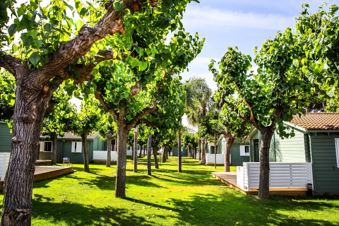 Campingplads La Llosa by Viajes Velero