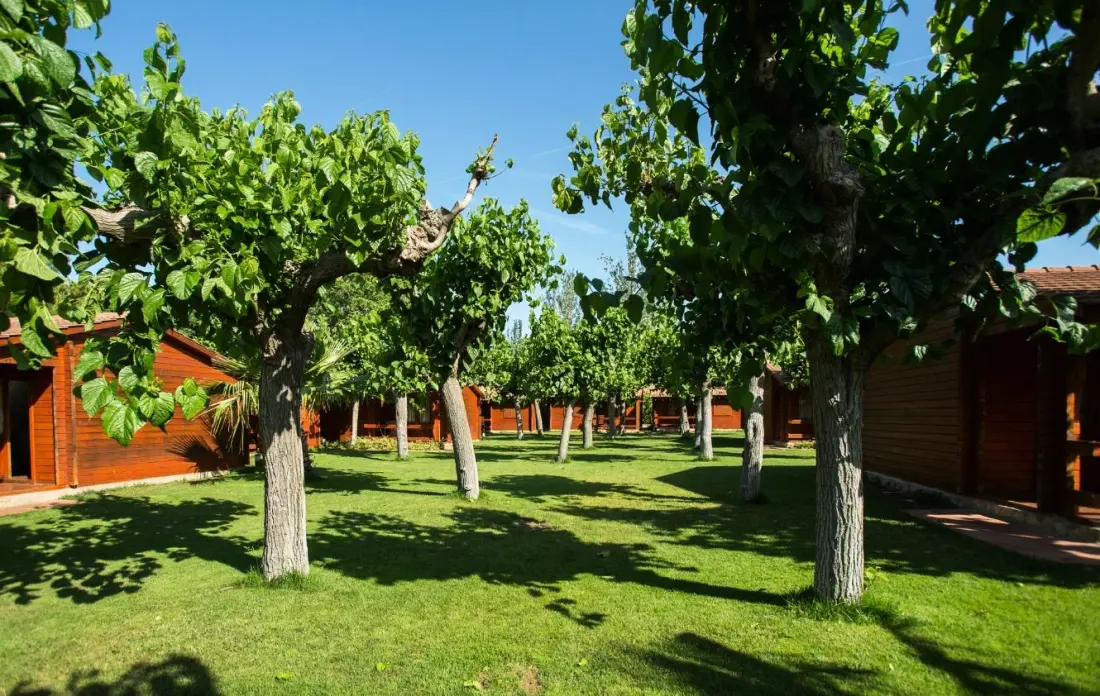 Campingplads La Llosa by Viajes Velero