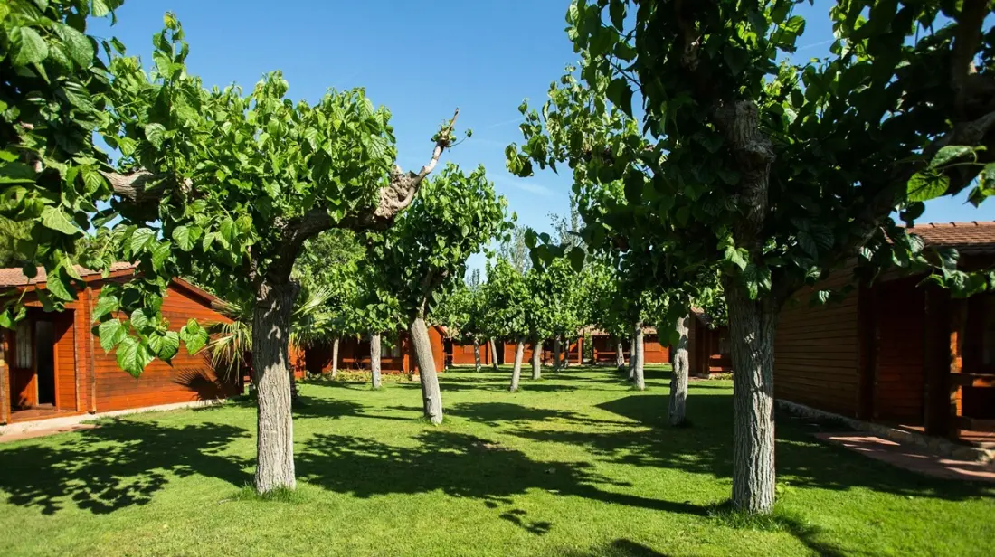 Campsite Odalys La Llosa