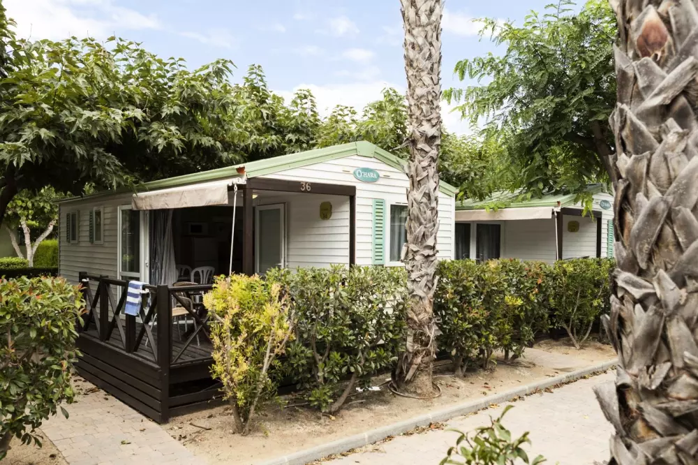 Camping Platja Cambrils by Viajes Velero 2 étoiles★★