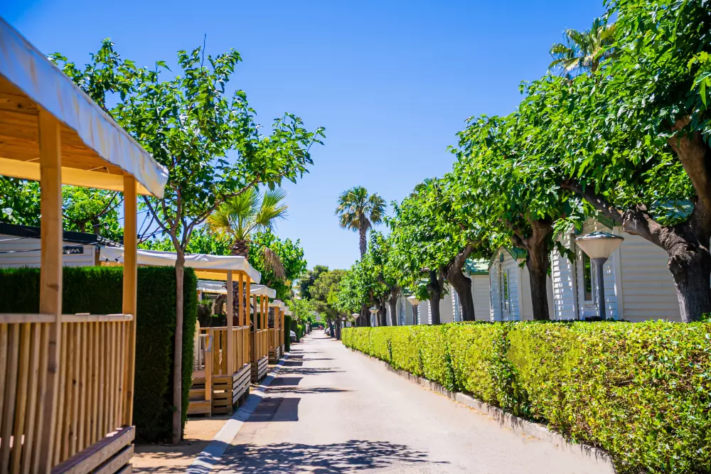 Camping Platja Cambrils3 Stars★★★