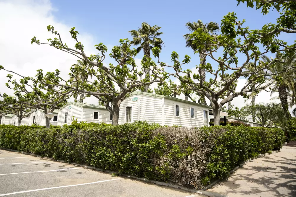 Camping Platja Cambrils3 Stars★★★