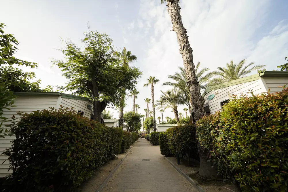 Camping Platja Cambrils3 Stars★★★