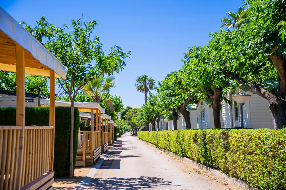 Camping Platja Cambrils3 Stars★★★