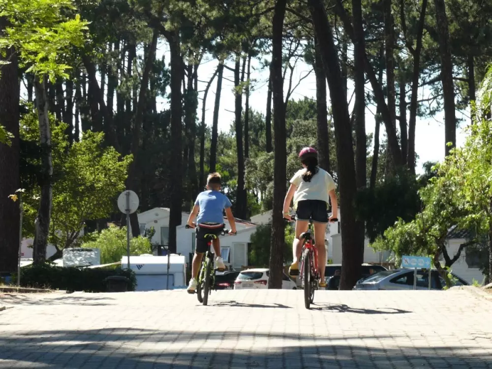 Campingplatz Orbitur Caminha3 Sterne★★★