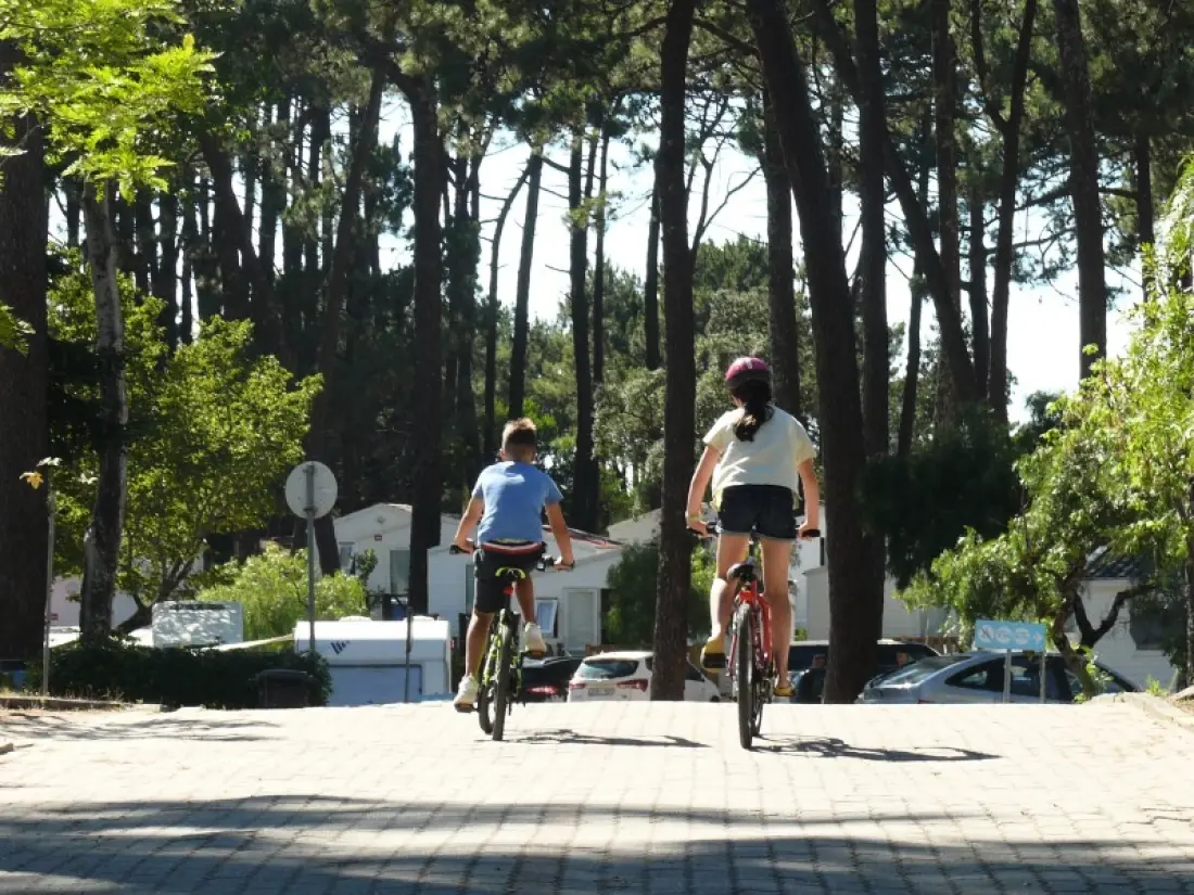 Camping Orbitur Caminha3 Stjerner★★★
