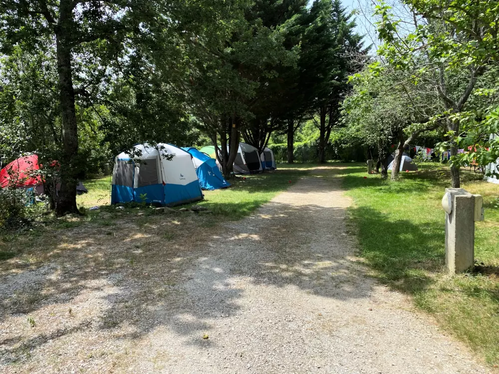 Blumen Camping LA BIPOLA 2 Sterne★★