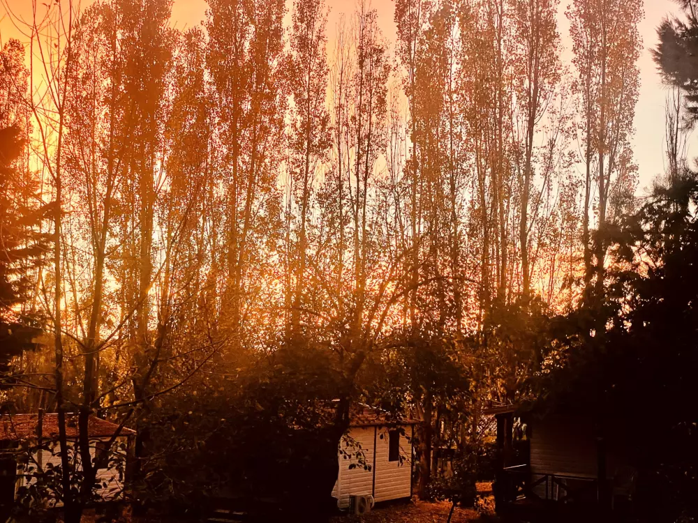 Blumen Camping LA BIPOLA 2 Sterne★★