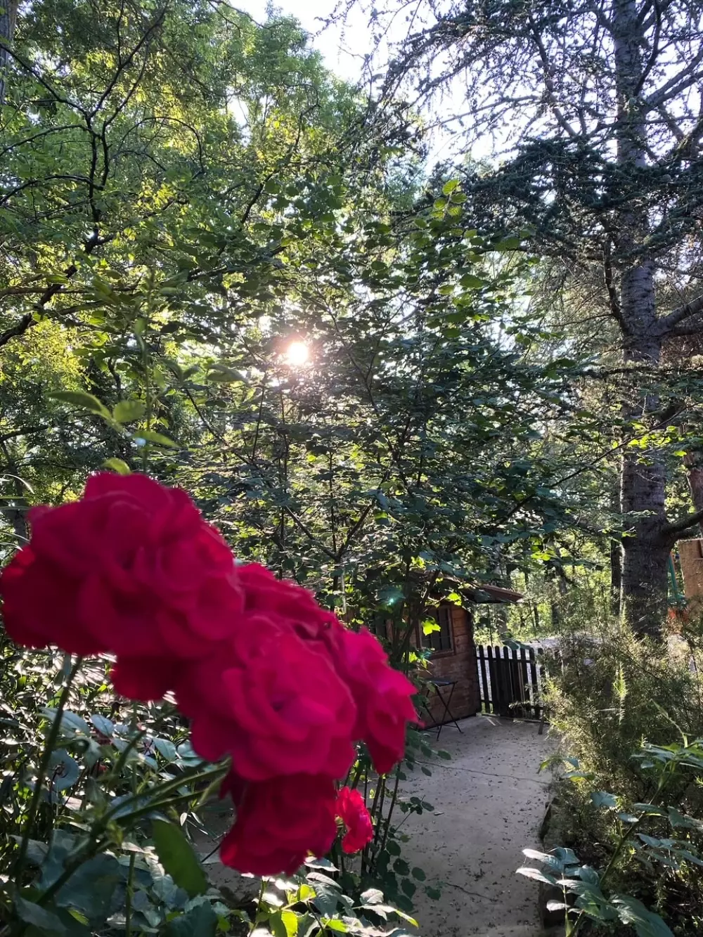 Blumen Camping LA BIPOLA 2 Sterne★★