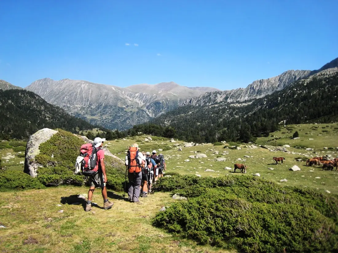Blumen Camping LA BIPOLA 2 Sterne★★