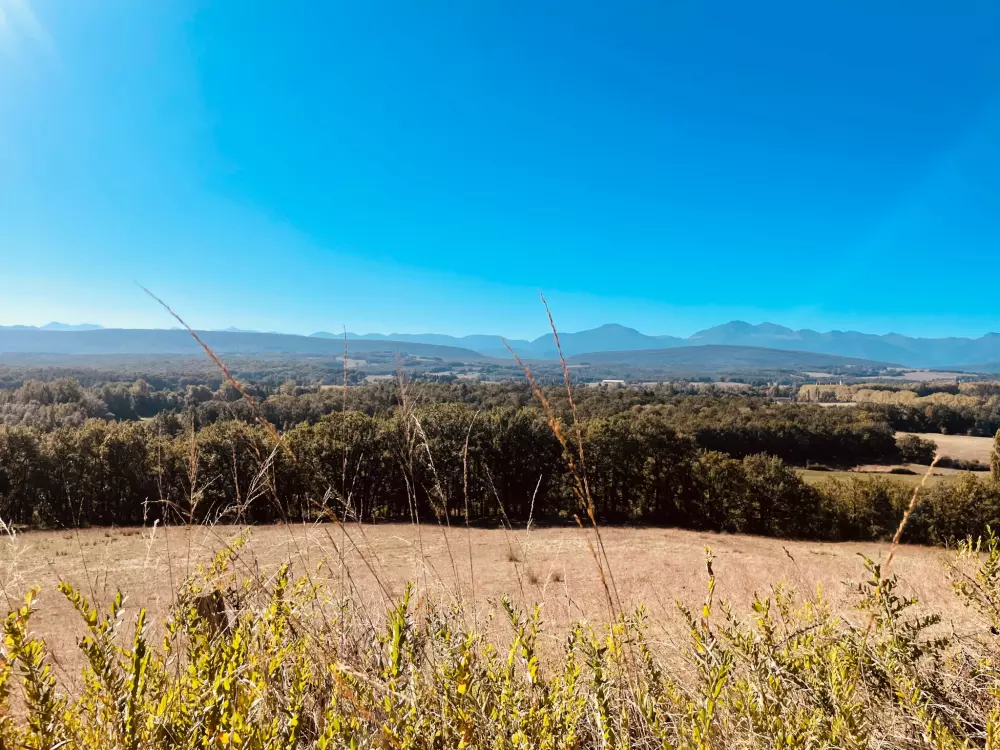 Blumen Camping LA BIPOLA 2 Sterne★★