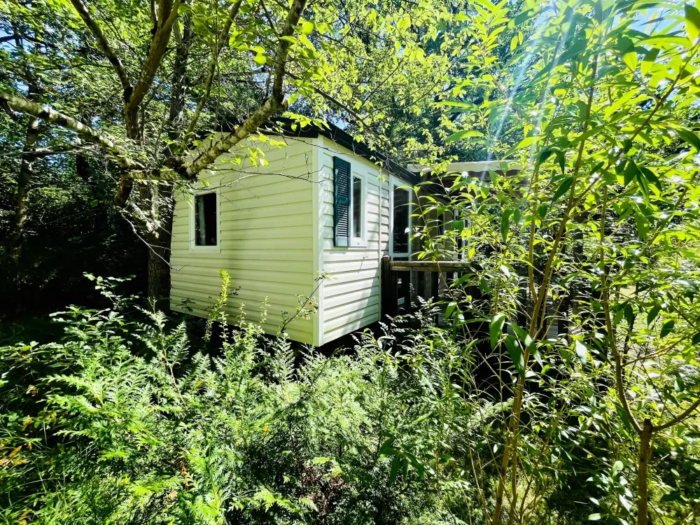 Blumen Camping LA BIPOLA 2 Sterne★★