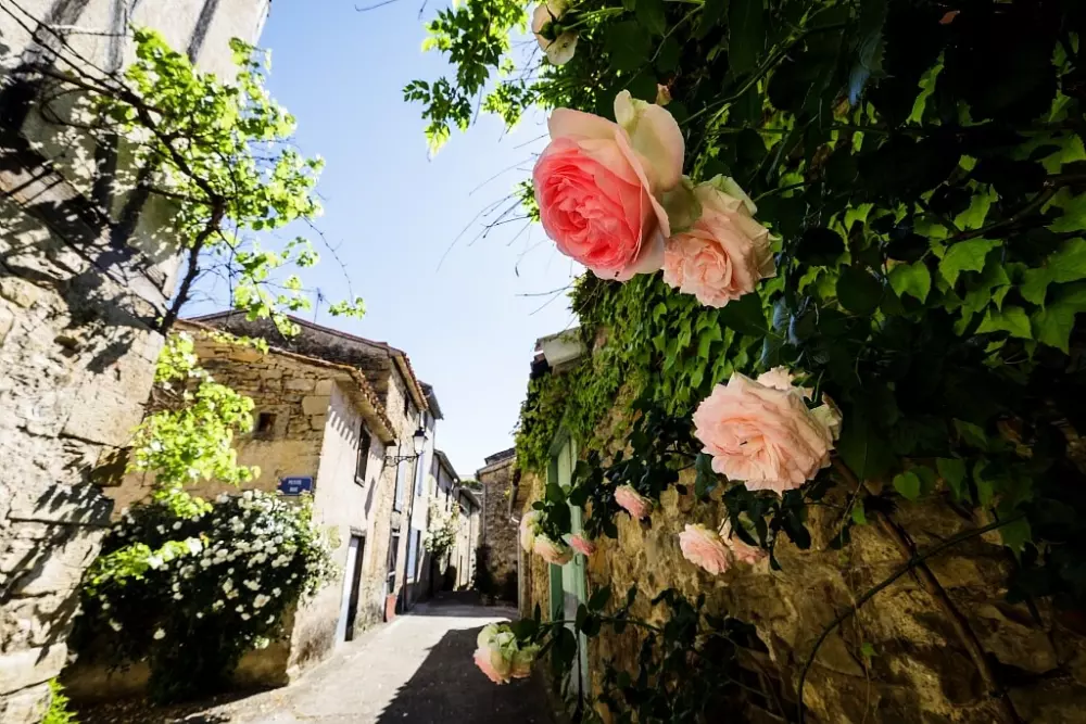 Blumen Camping LA BIPOLA 2 Sterne★★