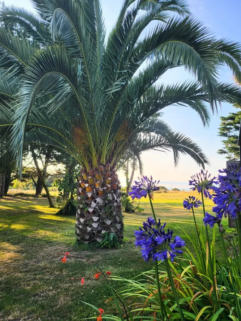 Gîte de France Ty gwenn 3 Ohren