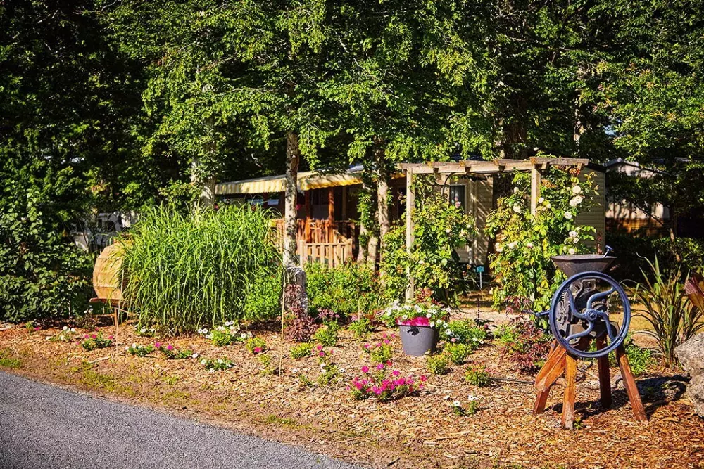 Camping La Grande Tortue