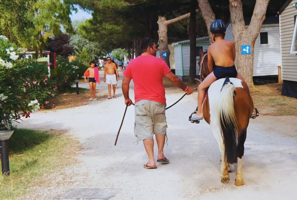 Campingplads Les Flamants Roses