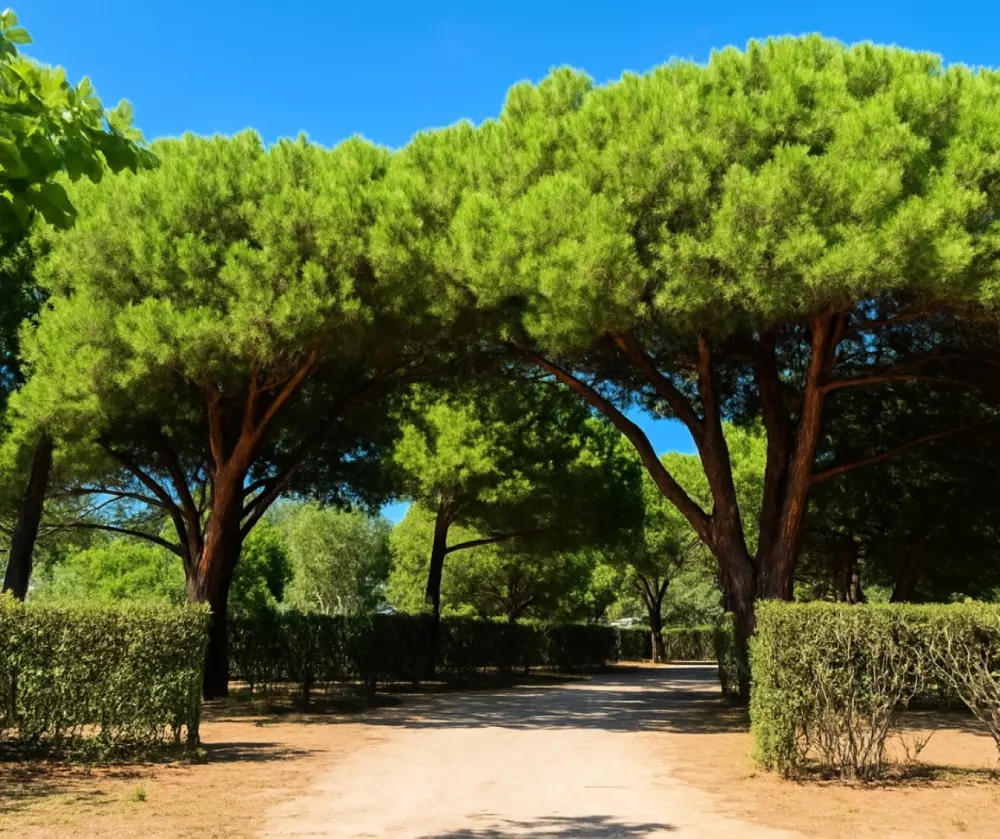 Campingplads Les Flamants Roses