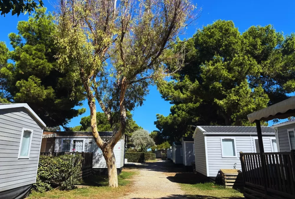 Campingplads Les Flamants Roses