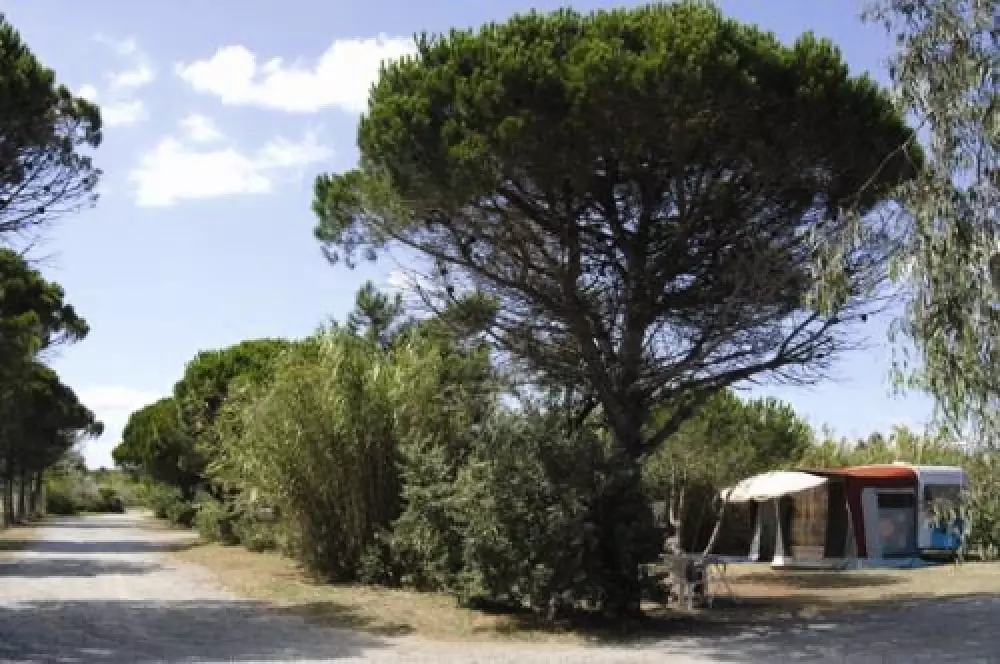 Camping les Fontaines 3 Sterren★★★