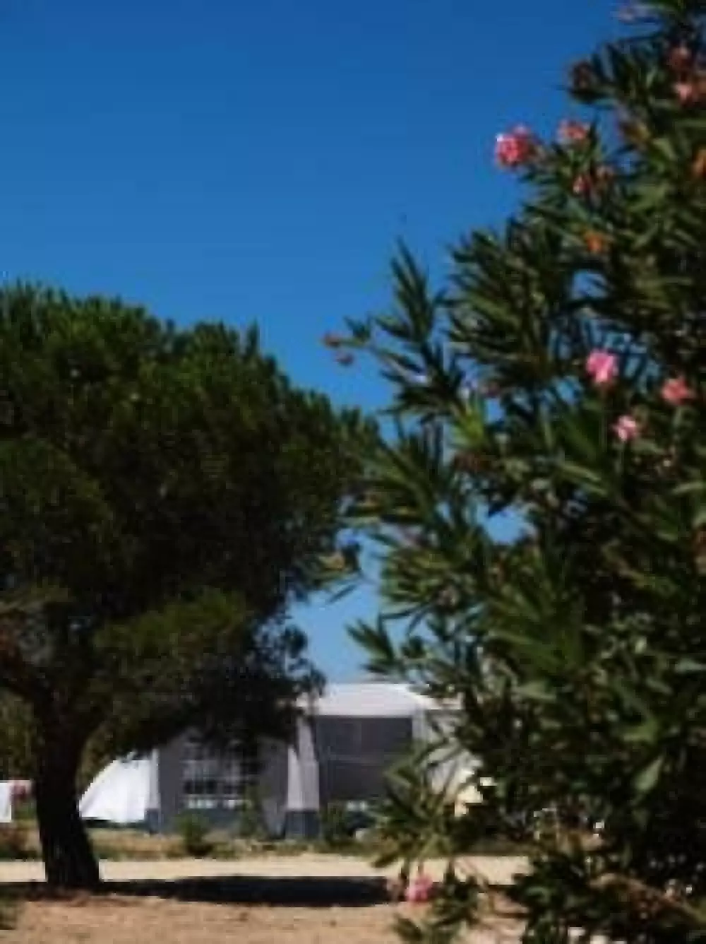 Camping les Fontaines 3 Sterren★★★