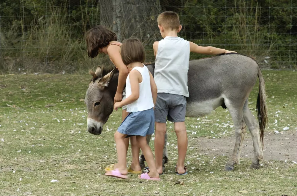 Camping les Fontaines 3 Sterren★★★