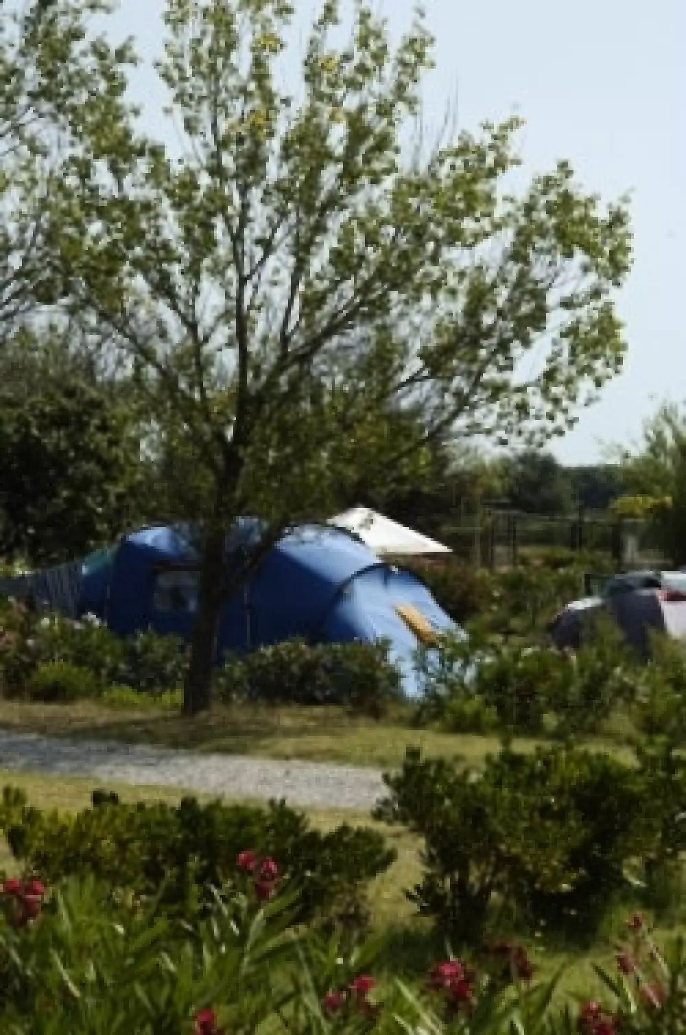 Camping les Fontaines 3 Sterren★★★