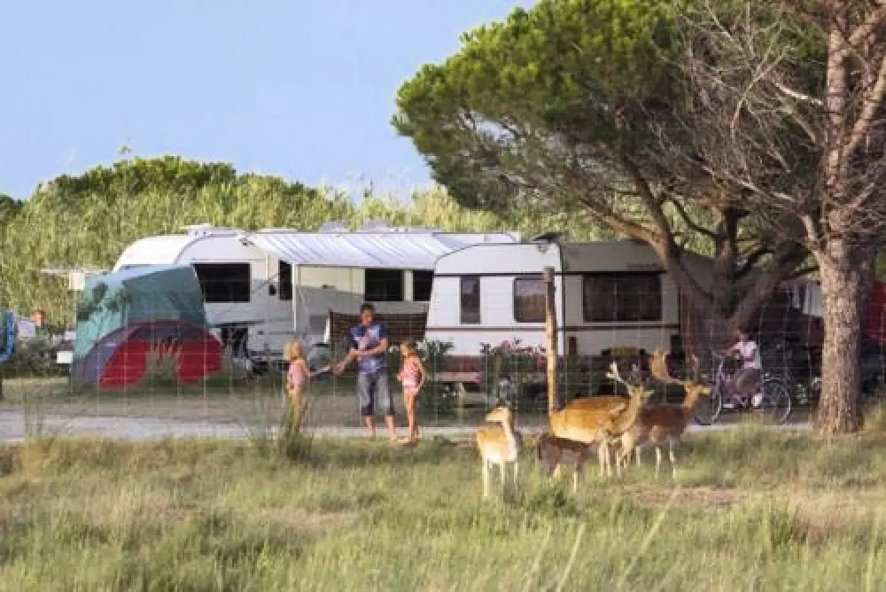 Camping les Fontaines 3 Sterren★★★