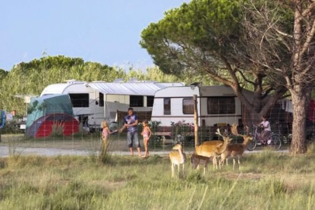 Camping les Fontaines 3 Sterren★★★