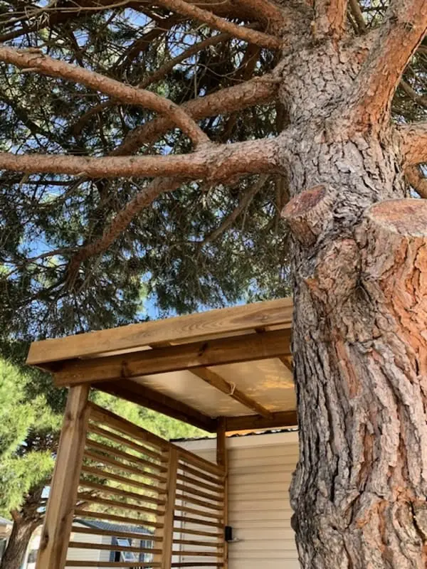 Résidence Camping Mar'estang