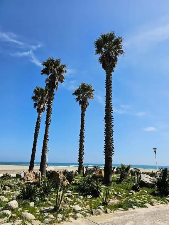 Residence Gardens De La Plage