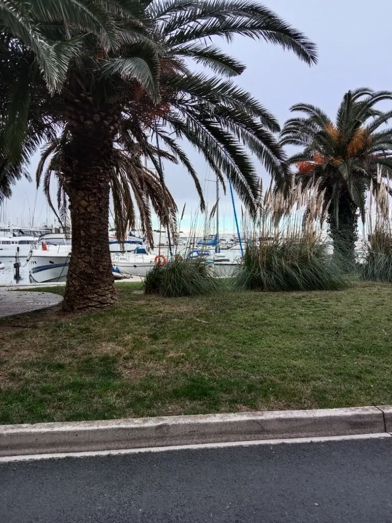Pier tengerészgyalogos