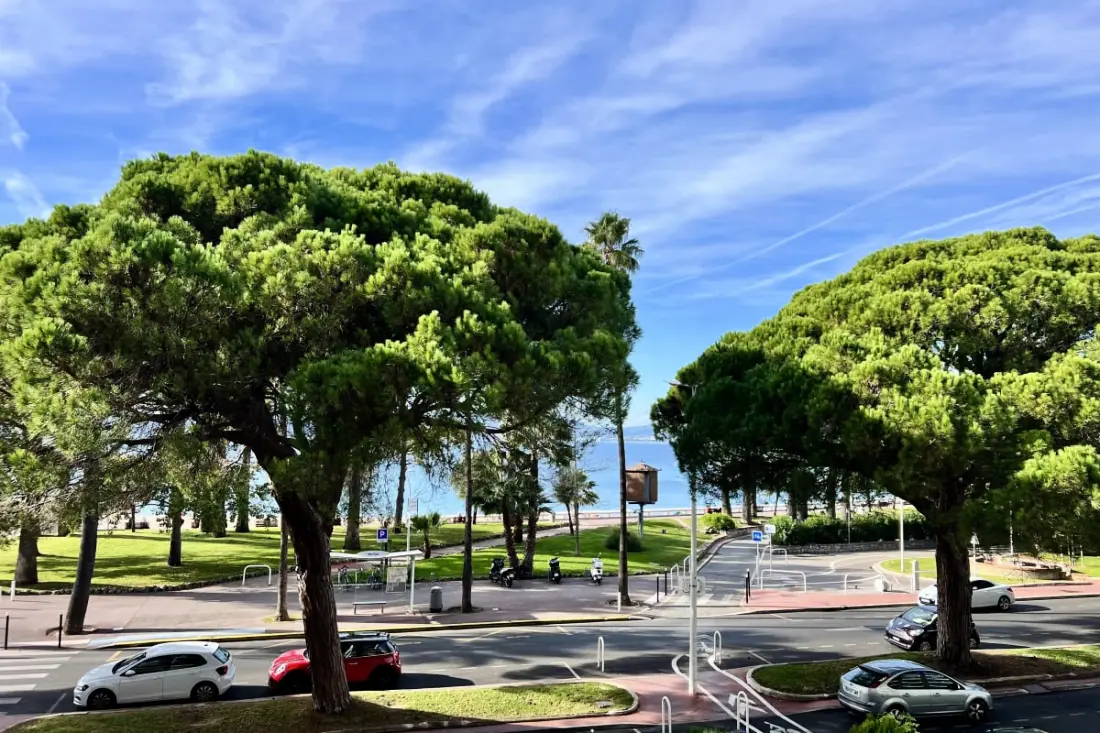 Apt Pointe Croisette, Nagy Terrace Face Beach
