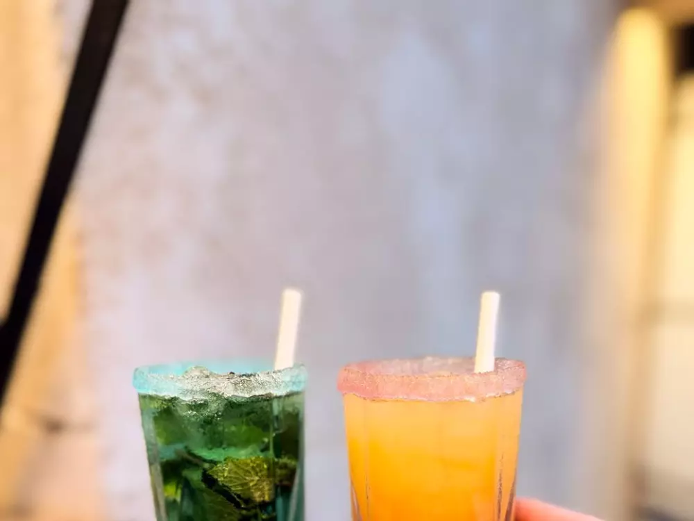 Camping Parc Bellevue 4 Estrellas★★★★