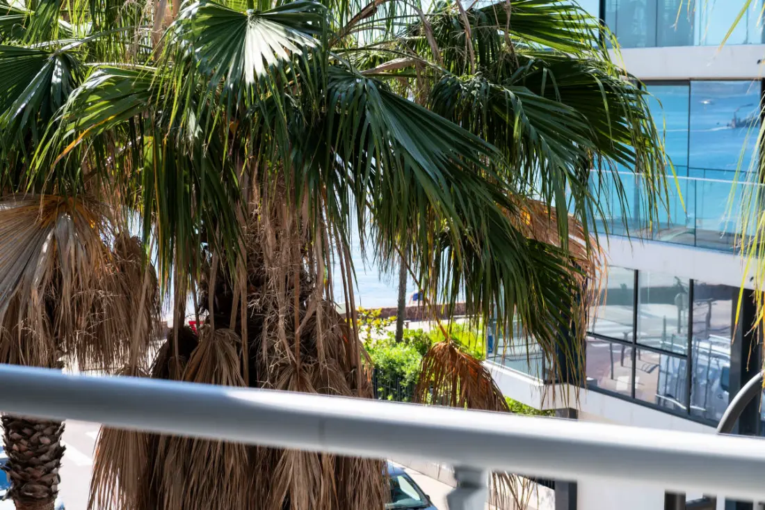 Residence 2p Terrace Au Pied Des Plages