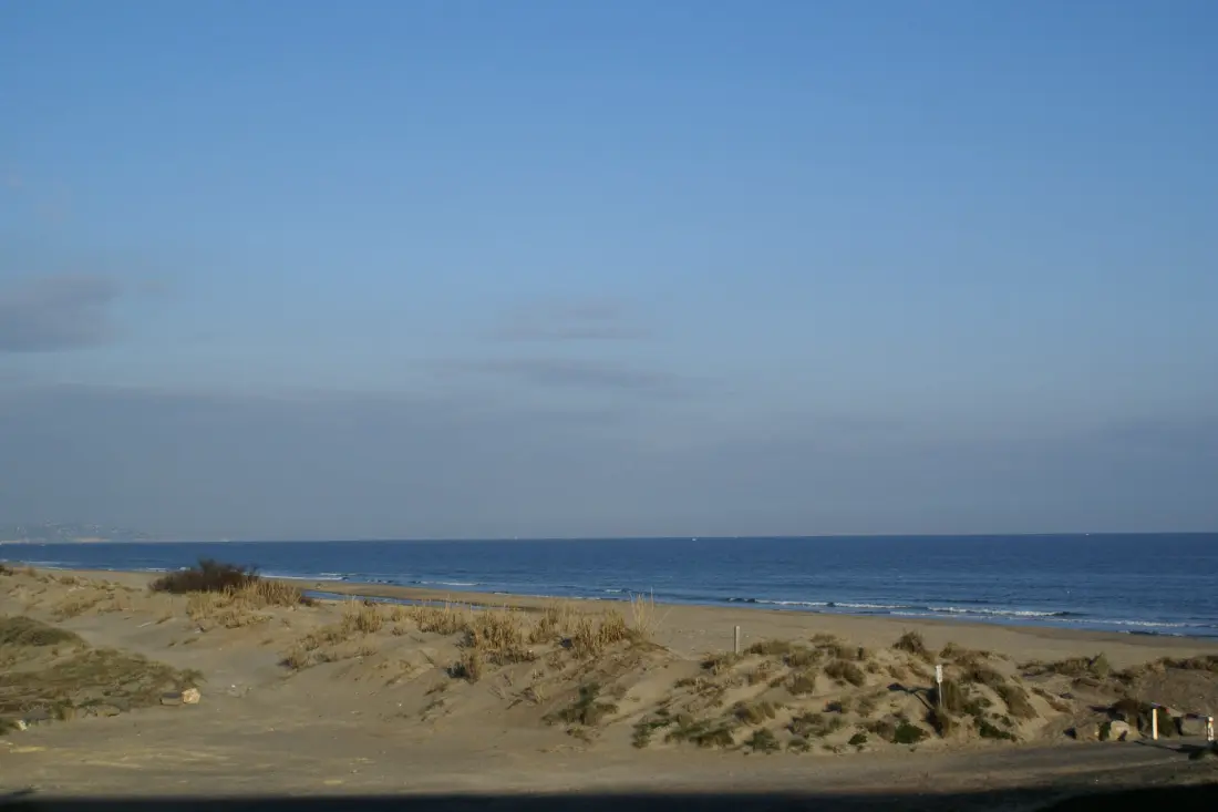 PORT VENUS REZIDENT