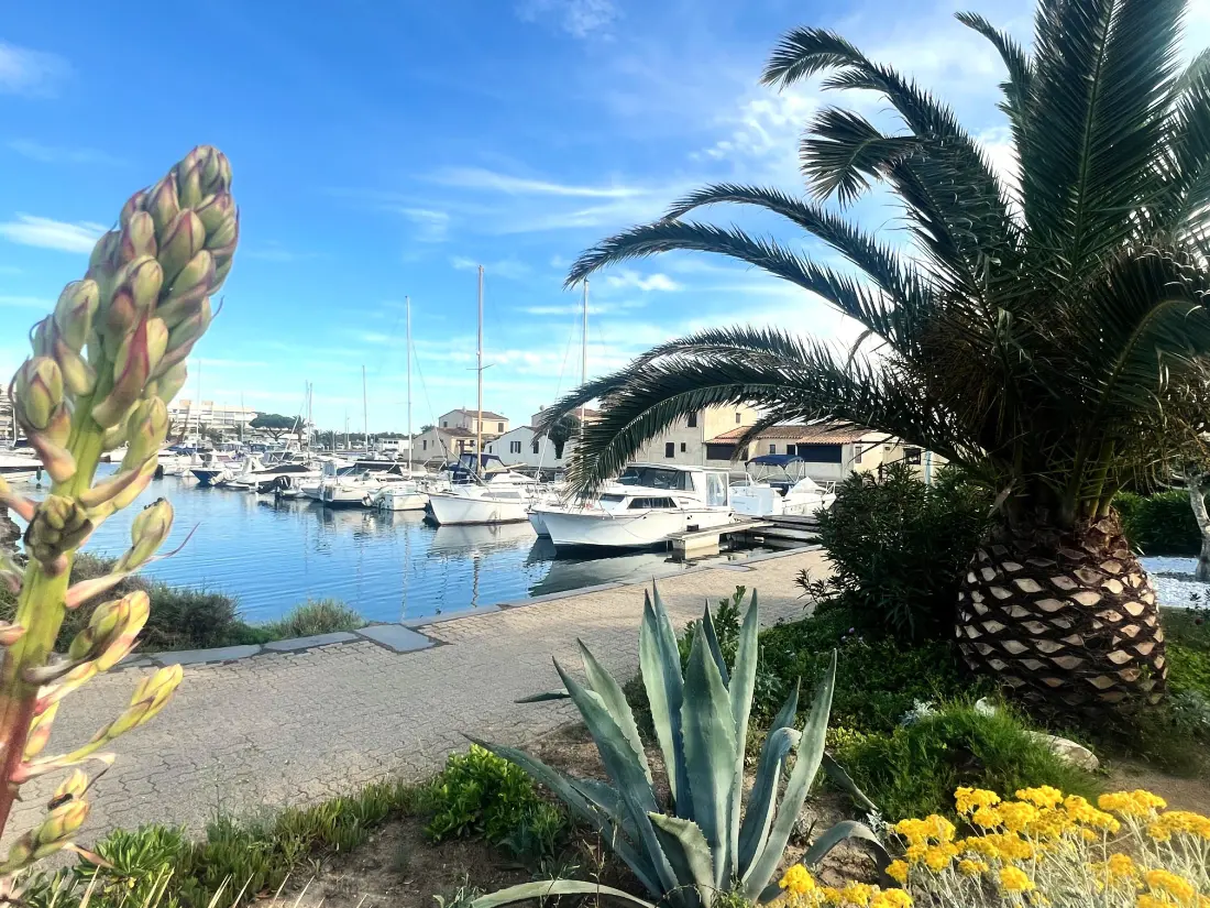 PORT VENUS REZIDENT
