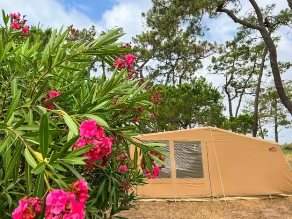 Camping La Tamarissière4 étoiles★★★★