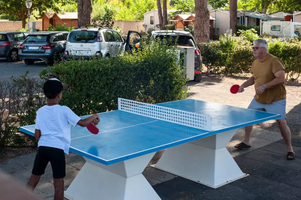 Camping Les Jardins d'Agathe 4 Sterren★★★★