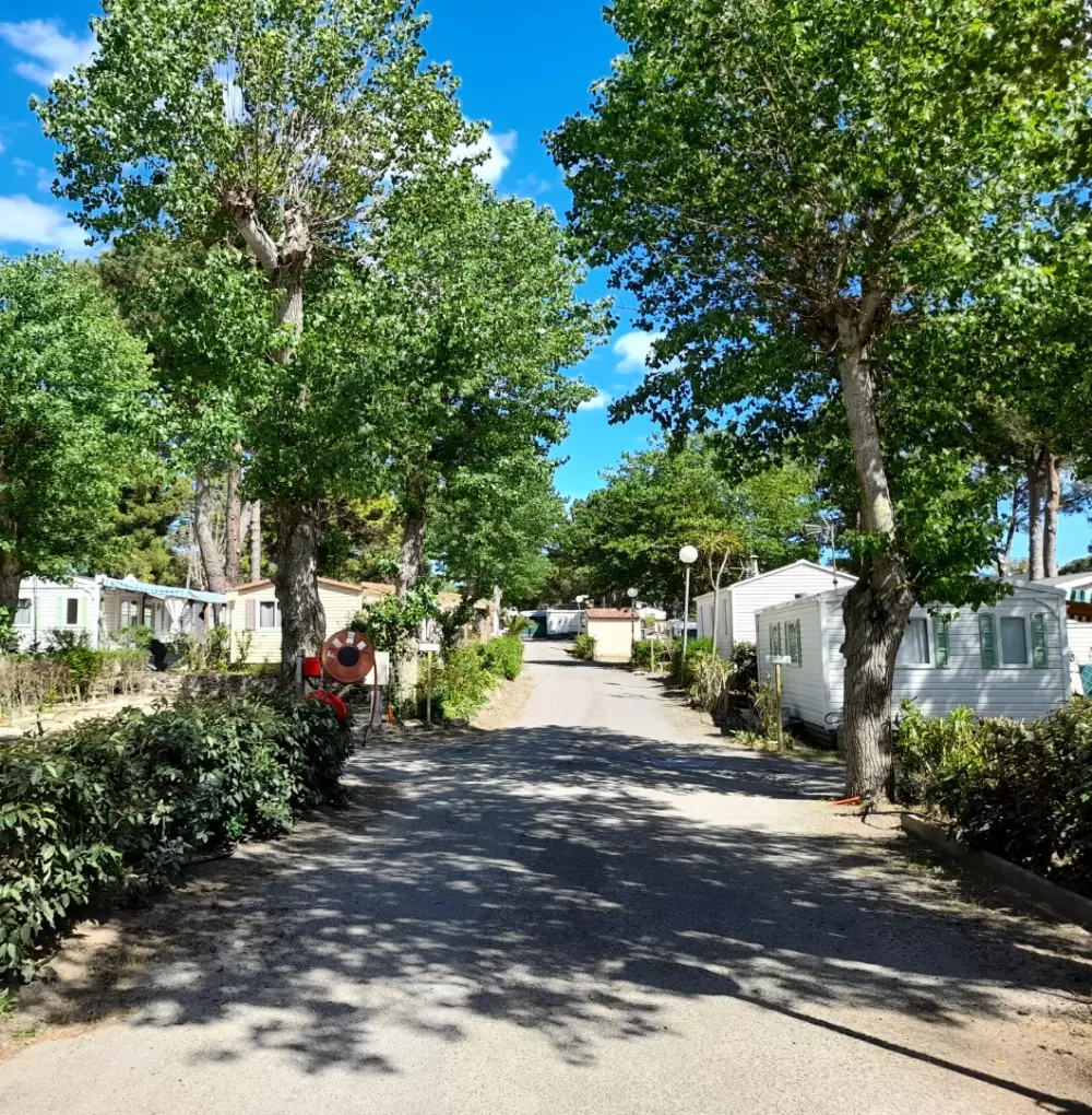 Camping Les Jardins d'Agathe 4 Sterren★★★★