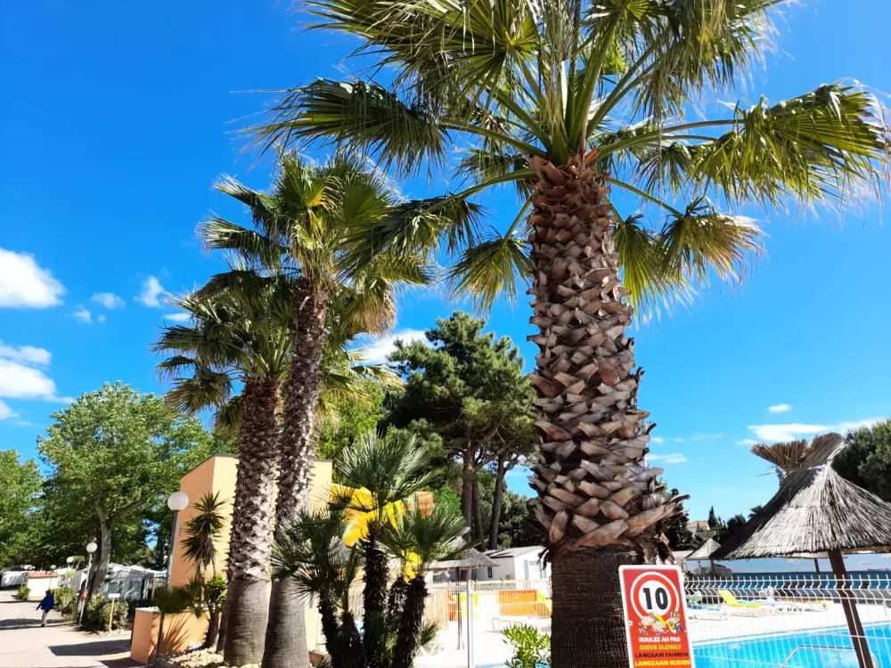 Camping Les Jardins d'Agathe 4 Sterren★★★★