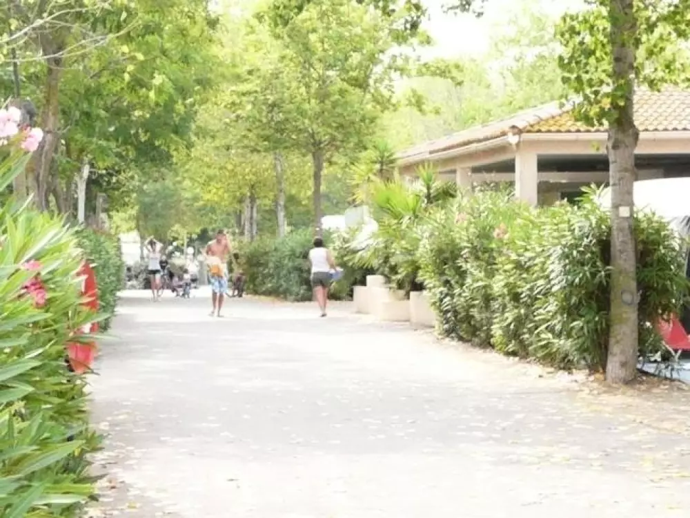 Flower Camping Le Rochelongue 4 étoiles★★★★
