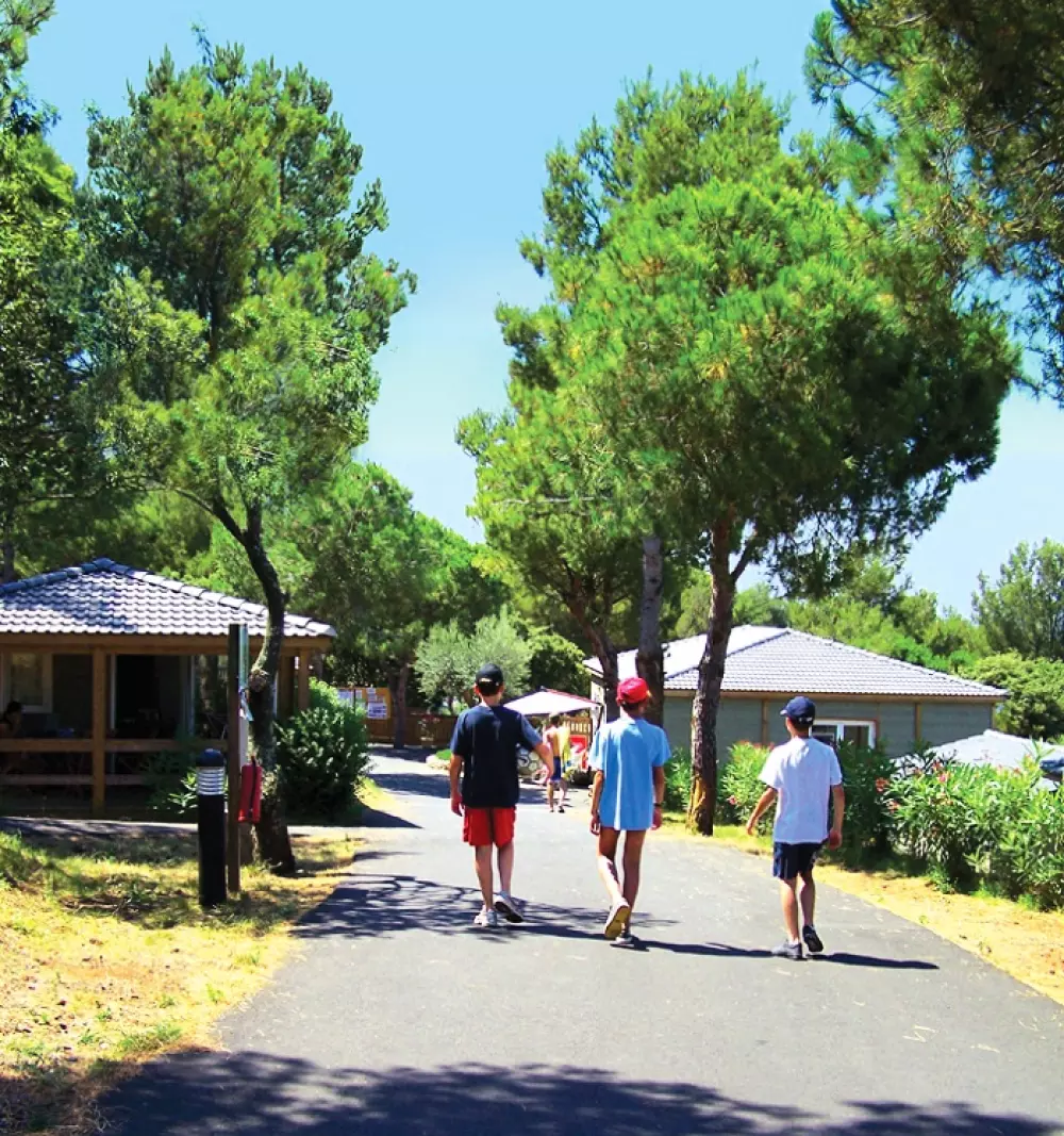 Résidence Lagrange Vacances Les Pescalunes 3 étoiles★★★