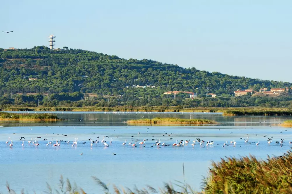 Résidence Lagrange Vacances Les Pescalunes 3 étoiles★★★