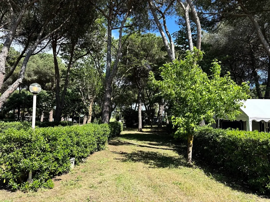 Campingpladser Costa d'Argento I nærheden af Village Club Tæt på